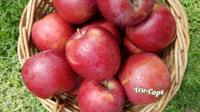 Apples and pears are nature’s own anti-rust