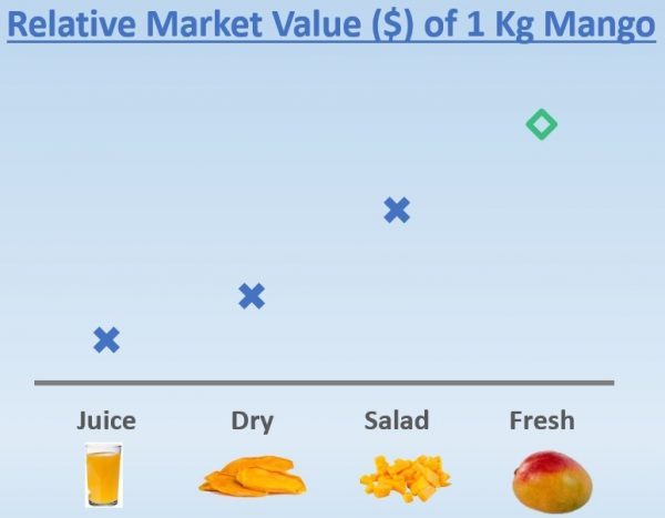 PROCESSING or FRESH – WHICH IS BETTER?