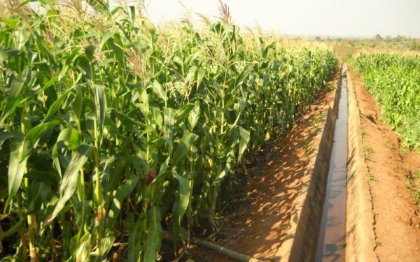 Malawi’s President Mutharika officially launches US $95m AGCOM project