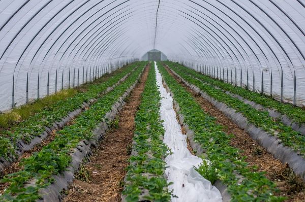 Micro Irrigation Systems Market: Savvy Players Vie to Develop Innovative Products to Surge ahead