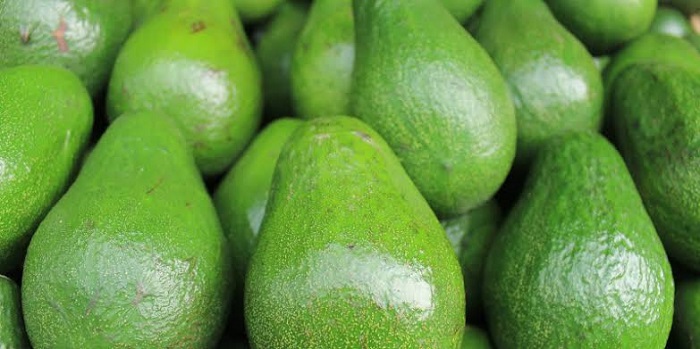 AFA suspends avocado exports from Kenya indefinitely