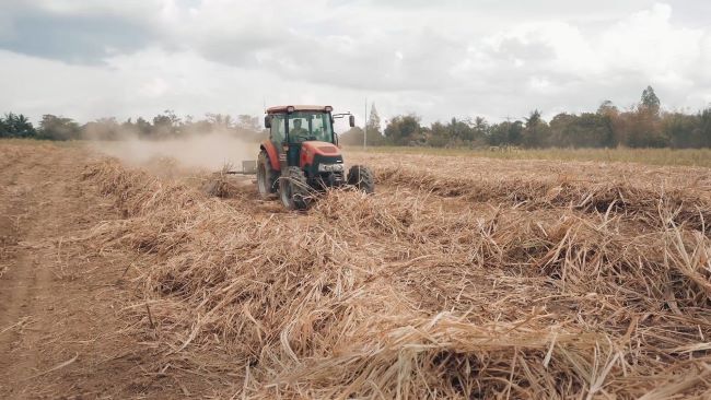Case IH tractors play key role in turning sugarcane waste into valuable commodity