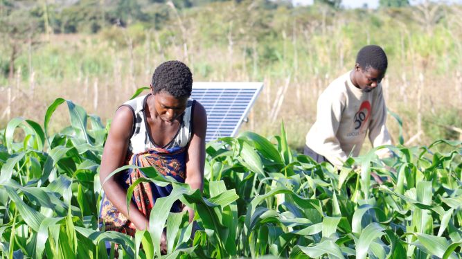 Phatisa and Partners Acquire Southern African Agricultural Solutions Provider FES