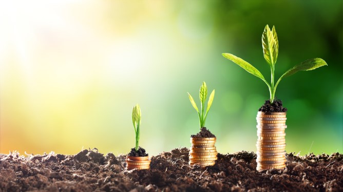 FARMVEST SEALS MORINGA CONTRACT, EYES GLOBAL MARKE