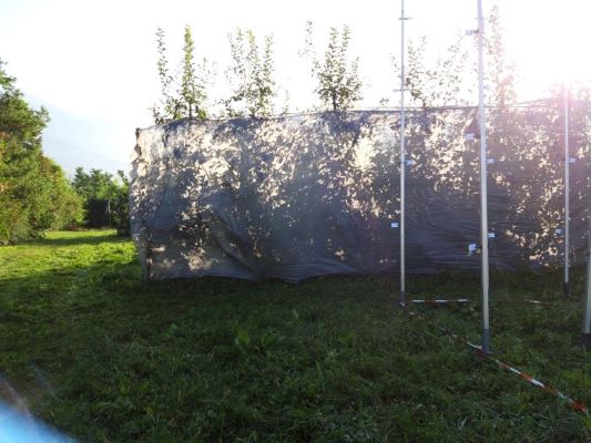 Arrigoni’s new agrotextiles range for drift control