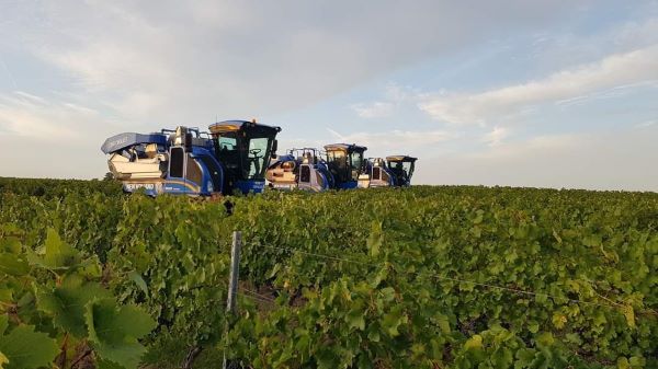 New Holland introduces new destemmer mesh for its Braud grape harvesters