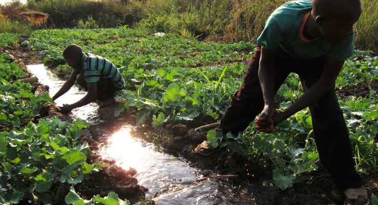 Tanzania: African Development Bank project tripled incomes of rural producers and traders