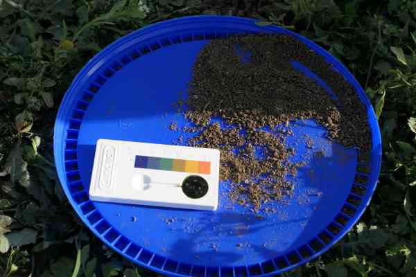 Soil Check Full – Healthy plants need healthy soil – Do you know your soil?