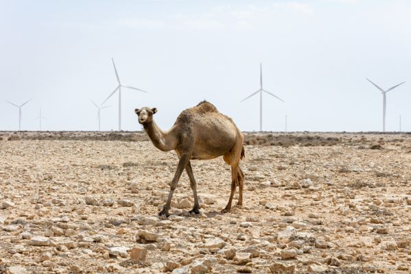 Siemens Gamesa donates vital supplies to support African communities through the COVID-19 crisis