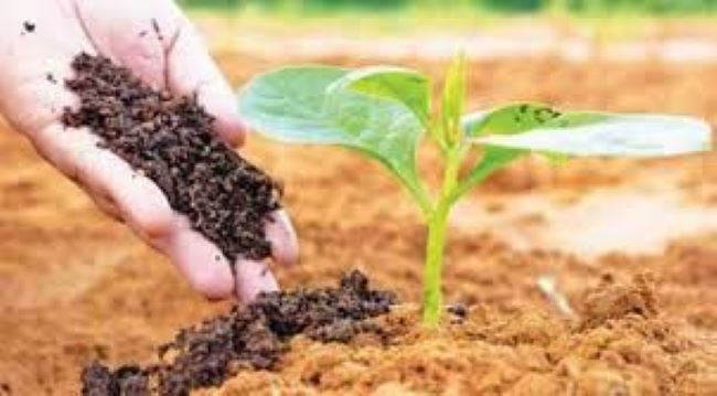 Organic Farming Market is expected to reach $129.97million by 2026 Says TMR