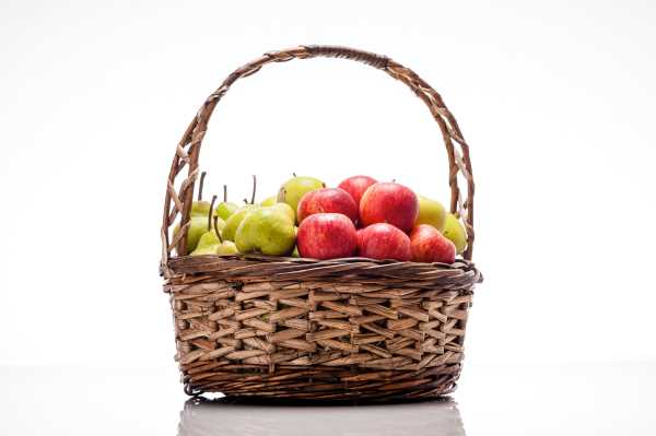 Polyphenols found in apple skins proven as good for us