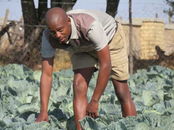 Education is key to improving the African agribusiness