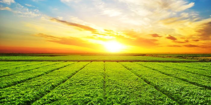 Omnia: First half performance demonstrates continued strategic delivery in challenging times