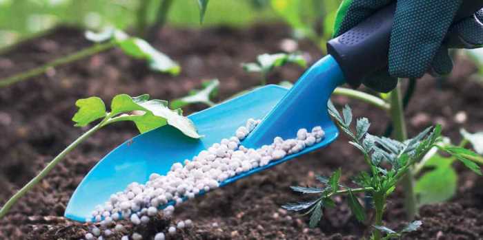 The Africa Fertilizer Financing Mechanism, OCP Africa team up to increase access to fertilizers in Côte d’Ivoire and Ghana