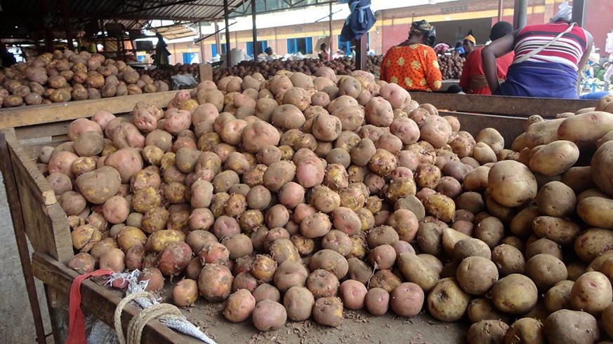 Potato farmers in Rwanda seek subsidies on agro-chemicals