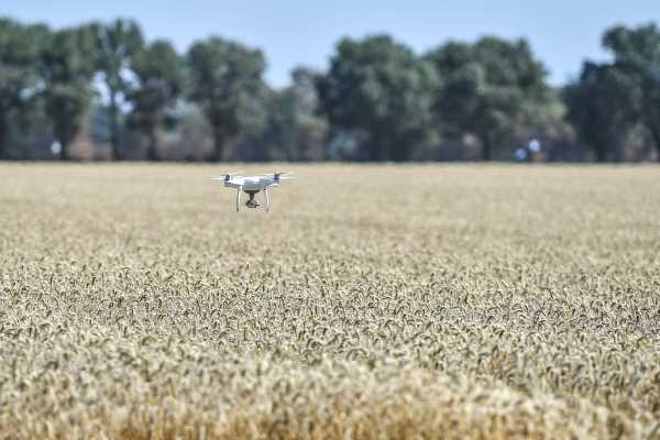 Drones in agriculture: functions and regulations
