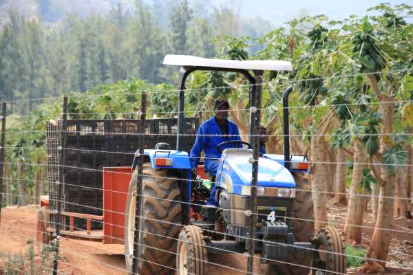 It’s crunch time for South Africa’s land reform – Industry experts explore land reform perspectives