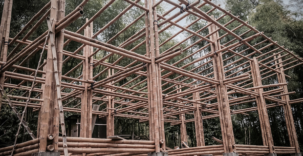 Plants become building materials