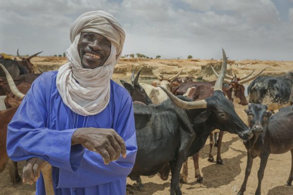 IFAD joins with partners to build resilience and boost development in the Sahel