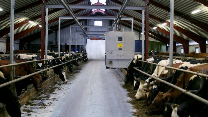 Sustainable milk production goes hand in hand with animal welfare and high quality
