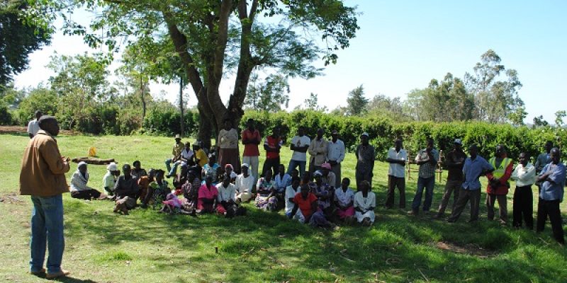 Cooperatives for inclusive agricultural growth in Africa